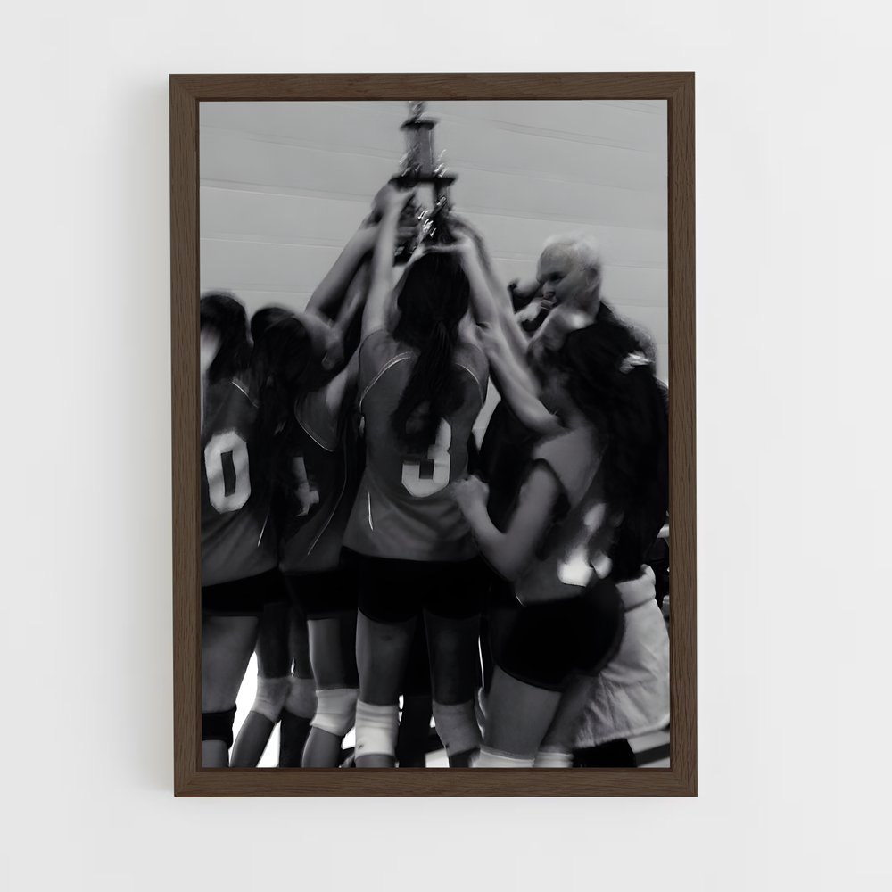 Poster Volleyball Fever (vue 5)
